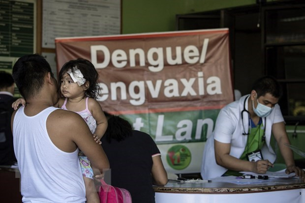 Les Philippines enregistrent des cas de dengue en sept mois ảnh 1