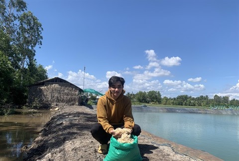 Du bioplastique biodégradable conçu à partir de carapaces de crustacés ảnh 1