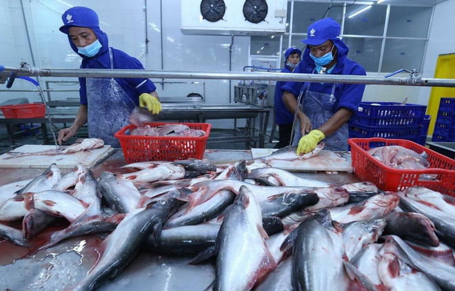 Produits aquatiques: Promouvoir les exportations vietnamiennes vers le Royaume-Uni ảnh 1 Produits aquatiques: Promouvoir les exportations vietnamiennes vers le Royaume-Uni ảnh 1