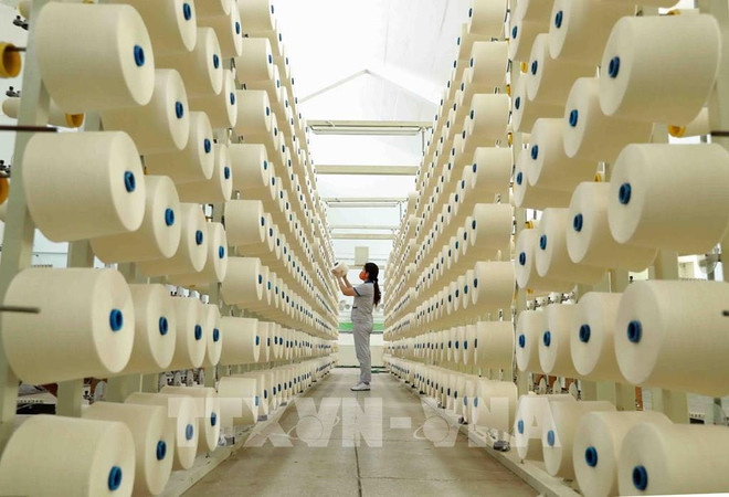 Économie en 2020: le Vietnam montre sa capacité d'autonomie ảnh 3