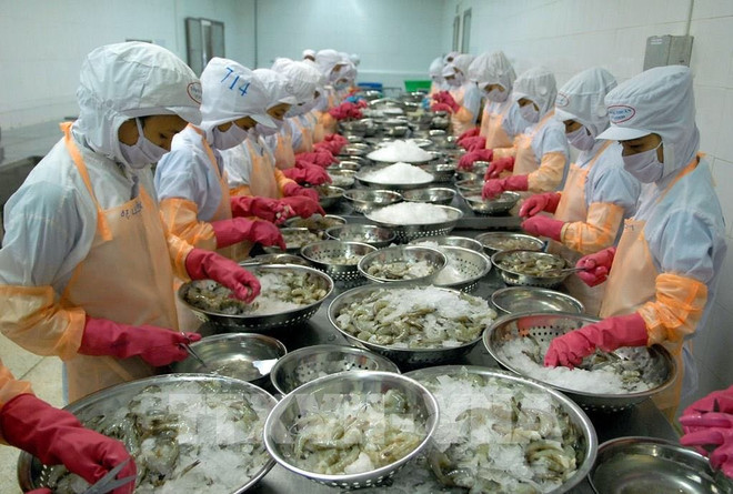 Économie en 2020: le Vietnam montre sa capacité d'autonomie ảnh 2 Économie en 2020: le Vietnam montre sa capacité d'autonomie ảnh 2