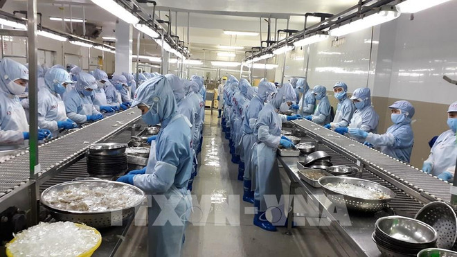 Hausse des exportations de produits agricoles, forestiers et aquatiques au premier semestre ảnh 1 Hausse des exportations de produits agricoles, forestiers et aquatiques au premier semestre ảnh 1