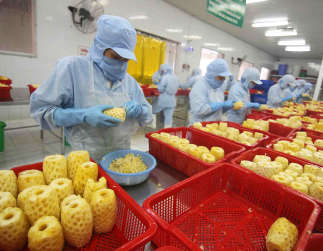 Coopération Vietnam-Japon dans le renforcement des chaînes de valeur des cultures sûres ảnh 1 Coopération Vietnam-Japon dans le renforcement des chaînes de valeur des cultures sûres ảnh 1