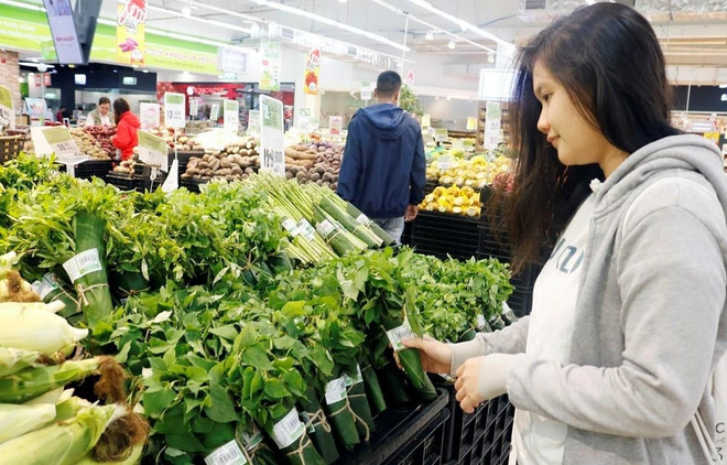 Réduire la consommation de sacs en plastique à usage unique ảnh 1 Réduire la consommation de sacs en plastique à usage unique ảnh 1