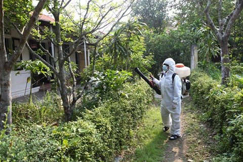 Le Vietnam se prépare à combattre le virus Zika ảnh 1 Le Vietnam se prépare à combattre le virus Zika ảnh 1