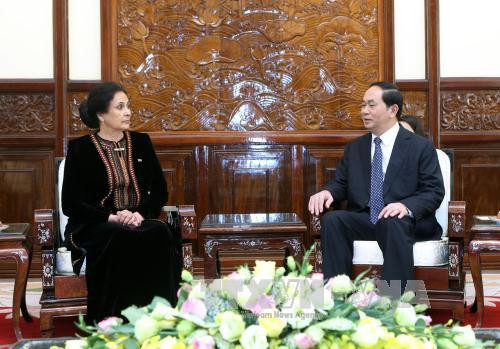 Le président Trân Dai Quang reçoit de nouveaux ambassadeurs ảnh 7 Le président Trân Dai Quang reçoit de nouveaux ambassadeurs ảnh 7
