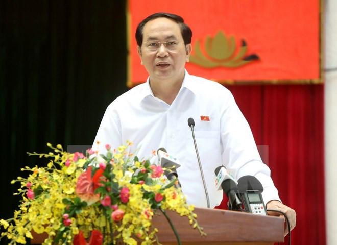 Le président Trân Dai Quang à l’écoute des électeurs de Hô Chi Minh-Ville ảnh 1