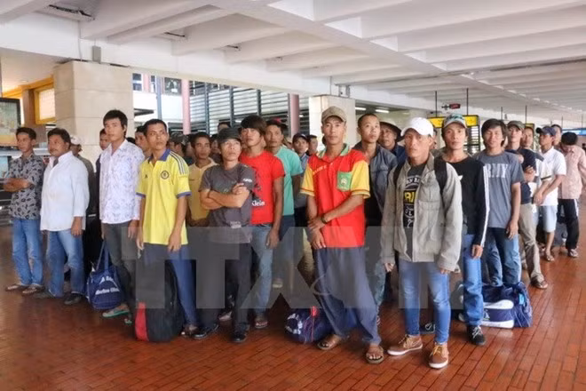 51 pêcheurs vietnamiens arrêtés sont rapatriés de l’Indonésie ảnh 1