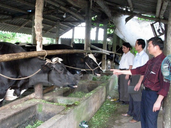 Vietnam-Belgique: la coopération Gembloux-Vietnam dans le développement rural ảnh 1 Vietnam-Belgique: la coopération Gembloux-Vietnam dans le développement rural ảnh 1