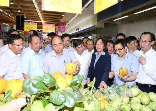 Le PM Nguyen XUan Phuc sur le front de la sécurité alimentaire ảnh 2 Le PM Nguyen XUan Phuc sur le front de la sécurité alimentaire ảnh 2