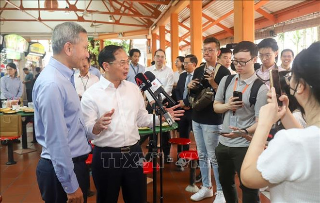 Le ministre des AE Bui Thanh Son en visite officielle à Singapour ảnh 2