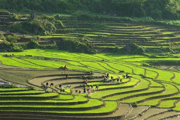 Les localités vietnamiennes et chinoises encouragent la coopération touristique ảnh 1 Les localités vietnamiennes et chinoises encouragent la coopération touristique ảnh 1