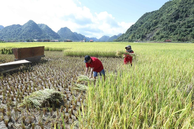 Lang Son développe le tourisme communautaire lié à la réduction de la pauvreté ảnh 3 Lang Son développe le tourisme communautaire lié à la réduction de la pauvreté ảnh 3