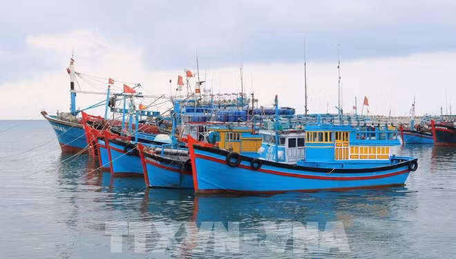 Pêche INN: les sanctions sévères seront renforcées ảnh 1