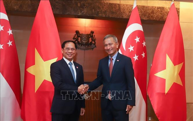 Le ministre des AE Bui Thanh Son en visite officielle à Singapour ảnh 1