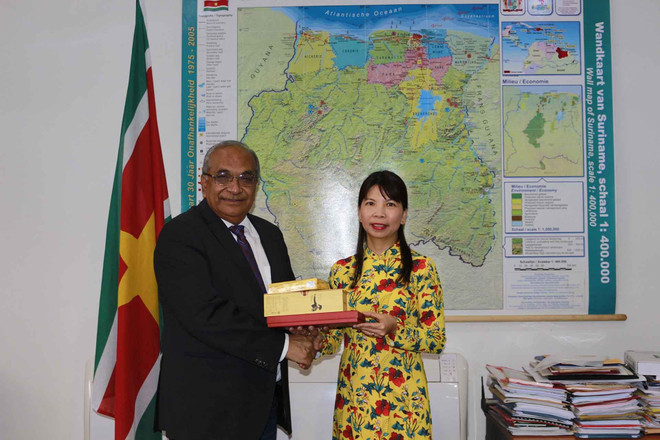 Le gouvernement du Suriname salue le développement exceptionnel du Vietnam ảnh 2 Le gouvernement du Suriname salue le développement exceptionnel du Vietnam ảnh 2