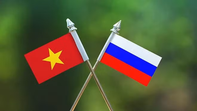 Coopération renforcée entre le Vietnam et la Russie dans divers domaines ảnh 1