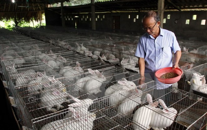 Éveiller les potentiels de l'agriculture high-tech ảnh 5