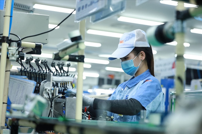 Le revenu moyen des employés est de près de 8 millions de VND par mois ảnh 1 Le revenu moyen des employés est de près de 8 millions de VND par mois ảnh 1