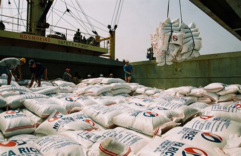 Exportations nationales de riz en hausse tant en volume qu'en valeur ảnh 1 Exportations nationales de riz en hausse tant en volume qu'en valeur ảnh 1