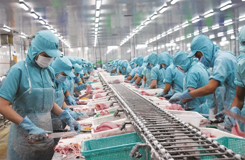 Le pangasius cherche à conquérir le marché national ảnh 1