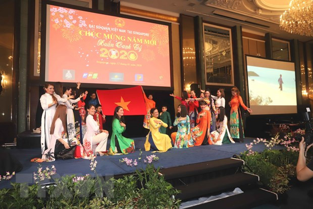 Des ambassades du Vietnam fêtent le Têt du Rat 2019 ảnh 1
