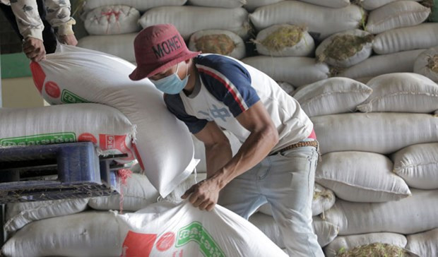 Le Cambodge exporte 7 millions de tonnes de produits agricoles en 2019 ảnh 1 Le Cambodge exporte 7 millions de tonnes de produits agricoles en 2019 ảnh 1