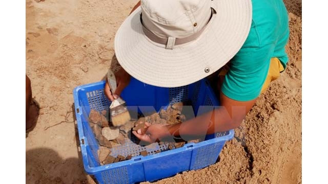 30.000 reliques découvertes dans le tertre Go Cây Me à Binh Dinh ảnh 1