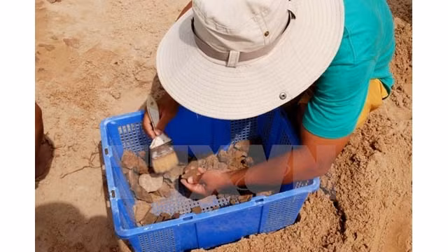 30.000 reliques découvertes dans le tertre Go Cây Me à Binh Dinh ảnh 1