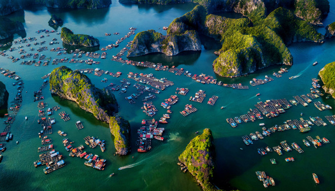 Un photographe vietnamien primé au concours international RGB-2021 ảnh 1 Un photographe vietnamien primé au concours international RGB-2021 ảnh 1