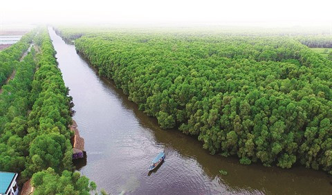 Tourisme durable au Parc national de Tràm Chim ảnh 1