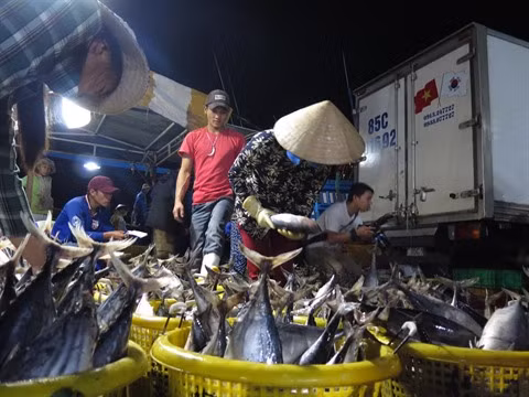 Signe de rebond pour les exportations aquatiques ảnh 1