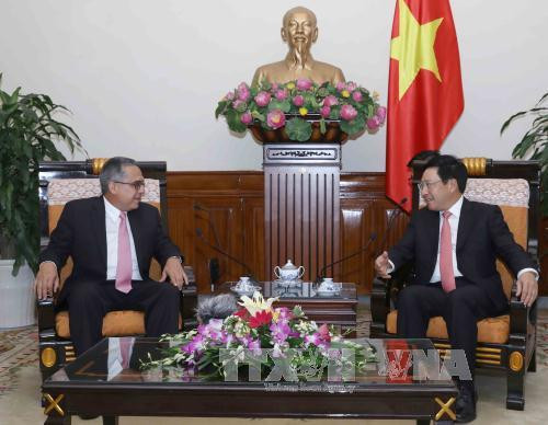 Le vice-PM Pham Binh Minh réitère la solidarité avec le peuple cubain ảnh 1 Le vice-PM Pham Binh Minh réitère la solidarité avec le peuple cubain ảnh 1