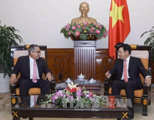 Le vice-PM Pham Binh Minh réitère la solidarité avec le peuple cubain ảnh 1