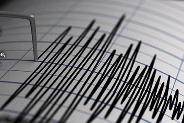 Indonésie : un fort séisme de magnitude 7,3 frappe les Moluques ảnh 1