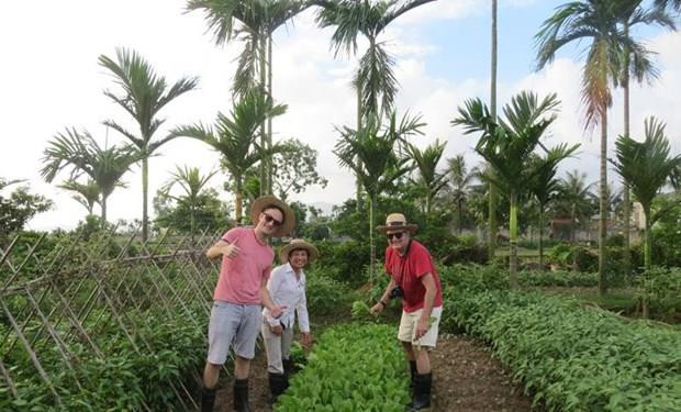 Quang Ninh développe de nouveaux produits pour promouvoir son tourisme ảnh 1 Quang Ninh développe de nouveaux produits pour promouvoir son tourisme ảnh 1