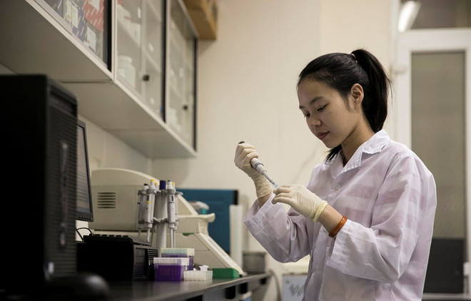 Prix scientifique ASEAN-États-Unis pour les femmes 2019 ảnh 1 Prix scientifique ASEAN-États-Unis pour les femmes 2019 ảnh 1