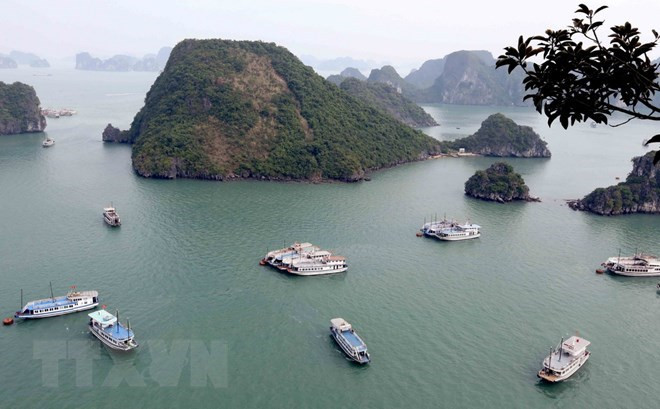 Améliorer la gestion des déchets pour préserver la baie d'Ha Long ảnh 1 Améliorer la gestion des déchets pour préserver la baie d'Ha Long ảnh 1