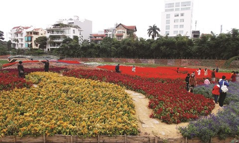 Prolonger la vie des fleurs ảnh 3 Prolonger la vie des fleurs ảnh 3