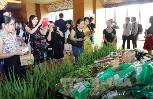 Promouvoir la connexion commerciale entre le Vietnam et la Russie ảnh 1 Promouvoir la connexion commerciale entre le Vietnam et la Russie ảnh 1