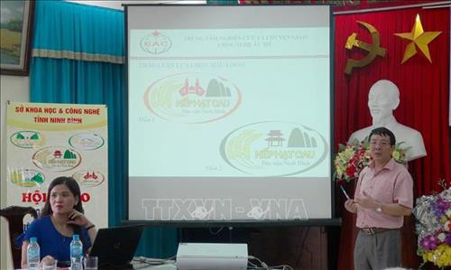 Ninh Binh développe des marques pour ses produits agricoles typiques ảnh 2 Ninh Binh développe des marques pour ses produits agricoles typiques ảnh 2