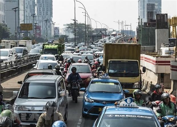 Indonésie: le président propose de transférer la capitale à Bornéo ảnh 1