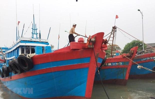 La tempête Wipha devrait toucher la zone maritime de Quang Ninh - Hai Phong ảnh 1 La tempête Wipha devrait toucher la zone maritime de Quang Ninh - Hai Phong ảnh 1