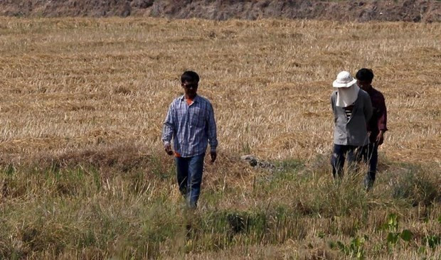 Thaïlande : des pluies artificielles pour lutter contre la sécheresse ảnh 1 Thaïlande : des pluies artificielles pour lutter contre la sécheresse ảnh 1