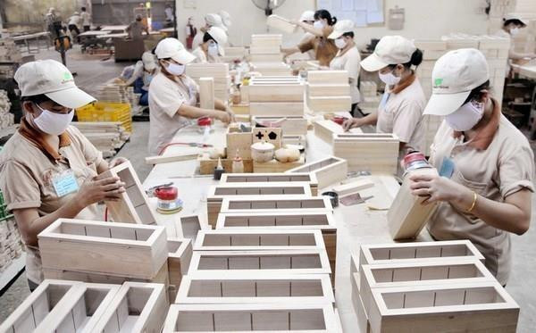Renforcer la responsabilité d'explication et la vérification juridique dans les importations de bois ảnh 1 Renforcer la responsabilité d'explication et la vérification juridique dans les importations de bois ảnh 1