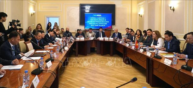 Le Vietnam et la Russie stimulent la coopération entre les PME ảnh 1 Le Vietnam et la Russie stimulent la coopération entre les PME ảnh 1