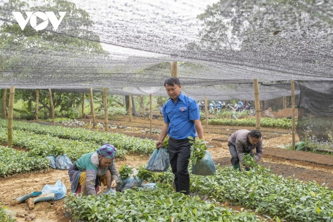 Hoàng Seo Chân, directeur de la coopérative Ban Mê ảnh 1 Hoàng Seo Chân, directeur de la coopérative Ban Mê ảnh 1