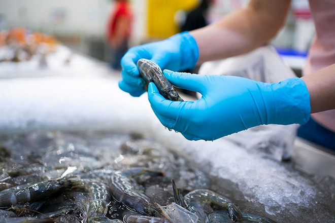 Opportunités d'exportation de produits aquatiques vers la Norvège ảnh 1 Opportunités d'exportation de produits aquatiques vers la Norvège ảnh 1