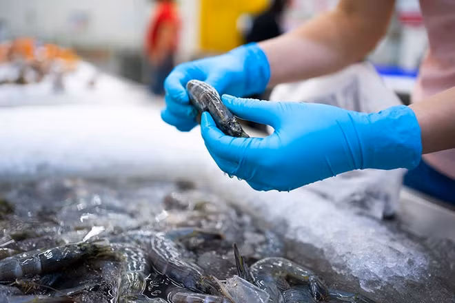 Opportunités d'exportation de produits aquatiques vers la Norvège ảnh 1 Opportunités d'exportation de produits aquatiques vers la Norvège ảnh 1