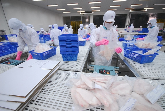 Forte hausse des exportations de pangasius vers le Royaume-Uni ảnh 1 Forte hausse des exportations de pangasius vers le Royaume-Uni ảnh 1